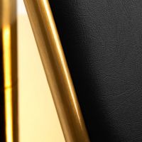 GABBIANO Kadeřnické křeslo Linz na zlatém talíři - gold black