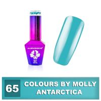 Gel lak Colours by Molly 10ml - Antarctica